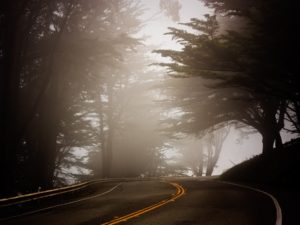 Foggy Roadway